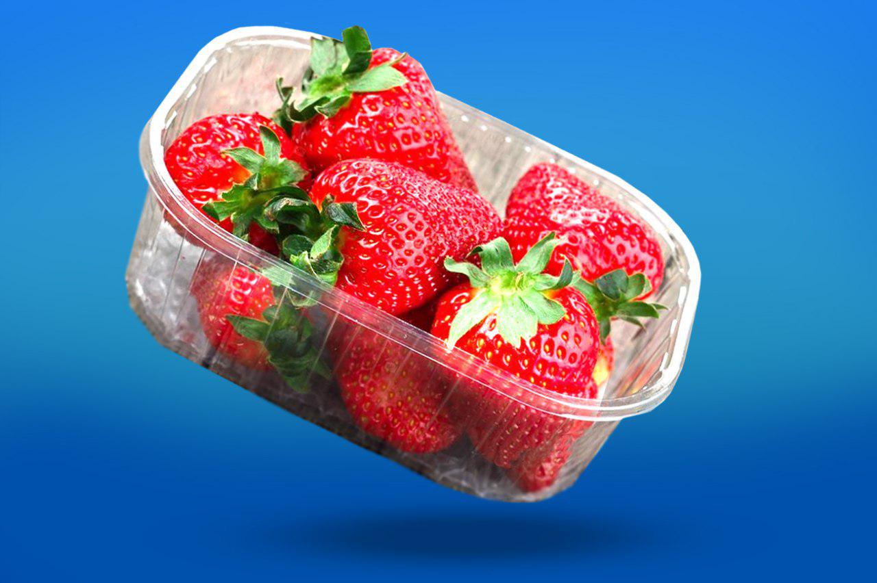 Упаковка из полипропилена для пищевых продуктов
